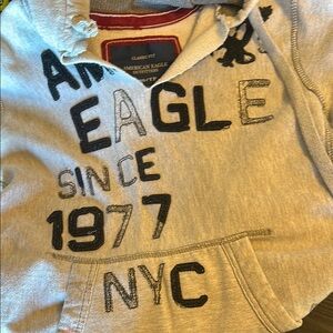 American Eagle Outfitters Light Gray Hoodie with Vintage Graphic Design